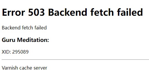 Varnish 503 error